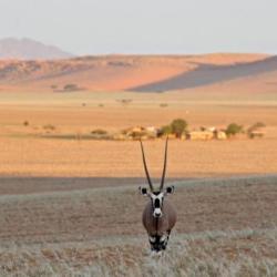 Namib Rand Nature Reserve