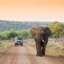 Safari Fahrt im Manyoni Game Reserve 