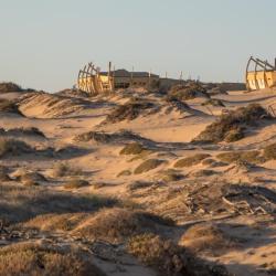 Skeleton Coast National Park - Dünenlandschaft 
