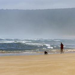 Spaziergang an der Wild Coast 