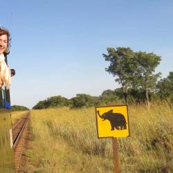 Unterwegs im Elephant Express 