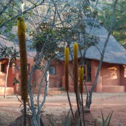 Venda Village - © Kalahari Calling