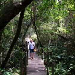Wandern im Nationalpark Tsitsikamma