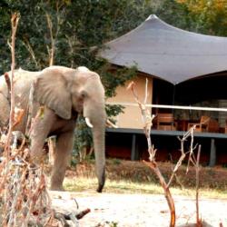 Chamabondo Tented Camp, Zambesi Nationalpark 