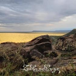Zeelandhuys Food & Wine Experience 