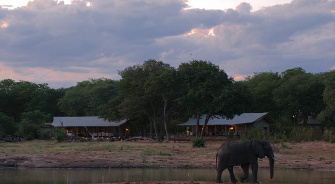 Elefant im Verney's Camp